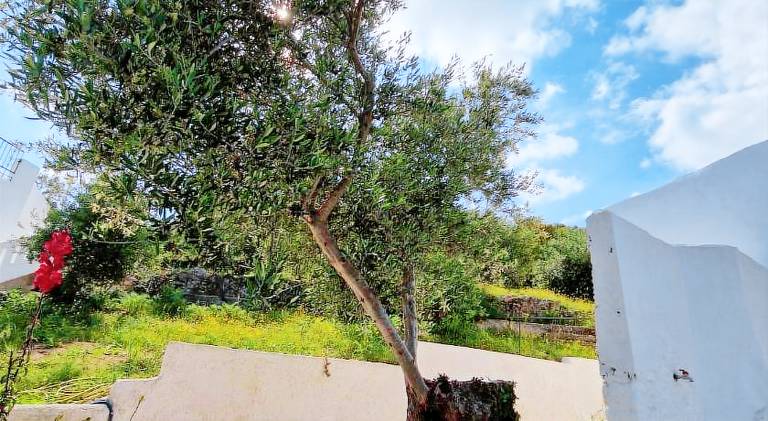 Stefanos Garden3 — photo 5