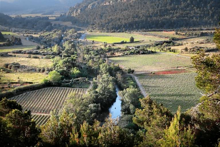 Bungalow Bize-Minervois