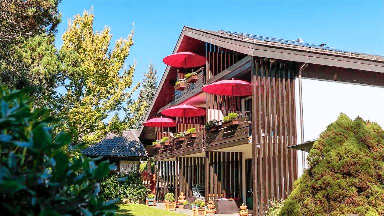 Ferienwohnung Bad Wildbad