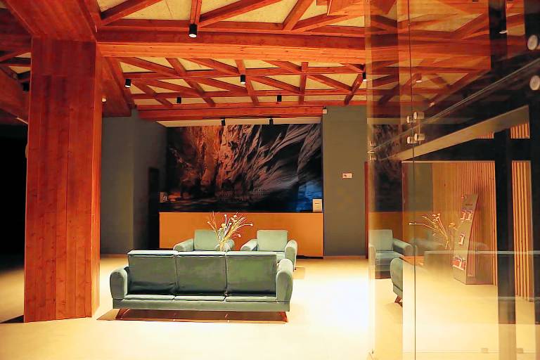 Apartment  Bakuriani