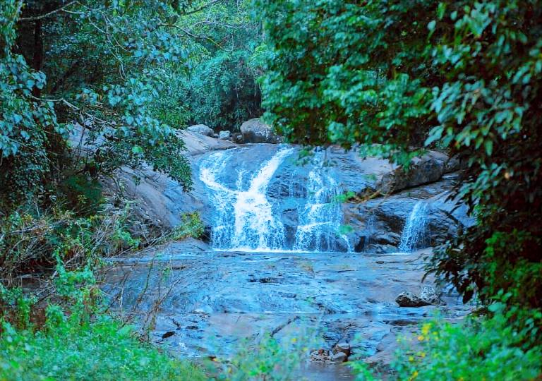 Wild Courtyard Vythiri in Vythiri