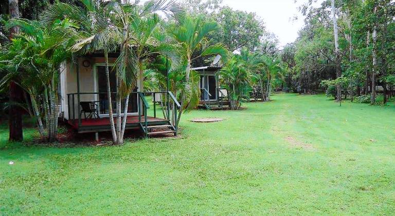 Pandanus on Litchfield