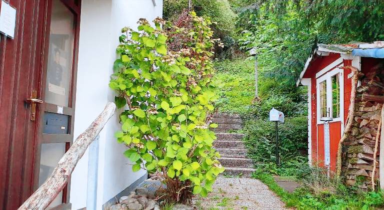Lovely holiday apartment | Pet-friendly — photo 3