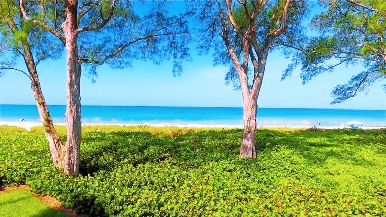Condo Longboat Key
