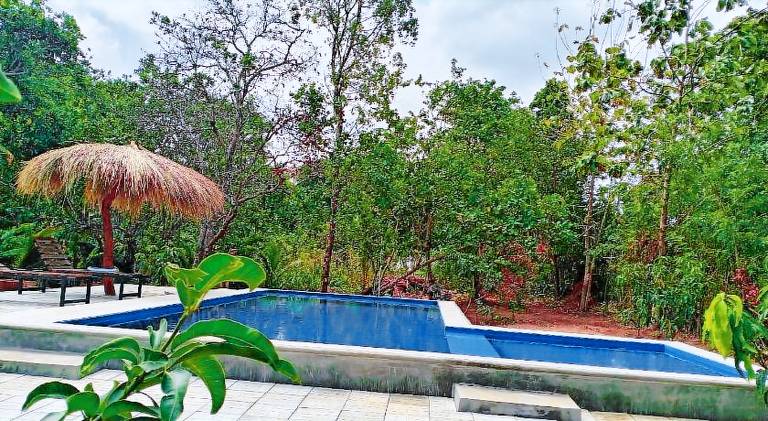 Sigiri Mango Garden Eco Resort — photo 2