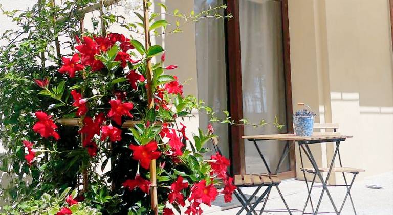 La Casa nel Parco in Pesaro