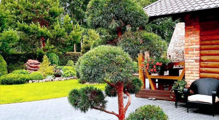 Lovely lodge with yard, barbeque & terrace | Pets are welcome — photo 5