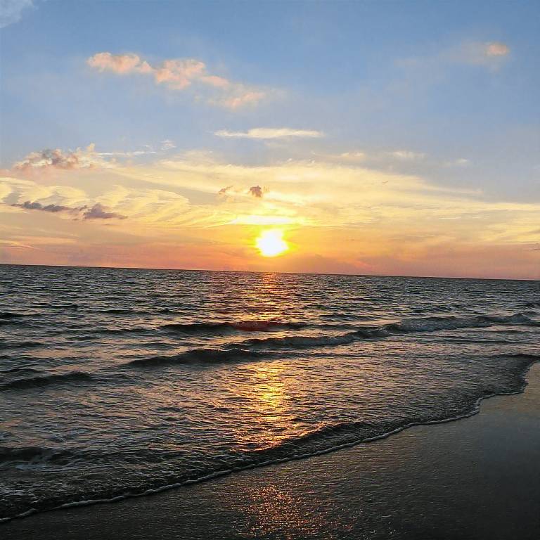 Condo  Indian Shores