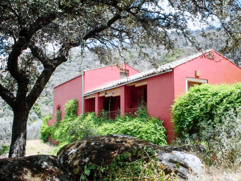 Nice house with terrace, grill & private pool | Nature view | Pets are welcome — photo 2
