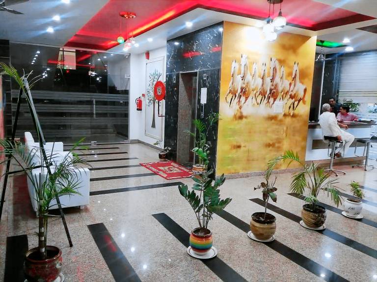 Hotel Dhanraj Palace — photo 4