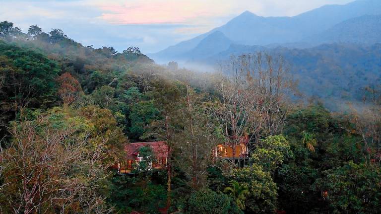 Vythiri Mist Resort in Vythiri
