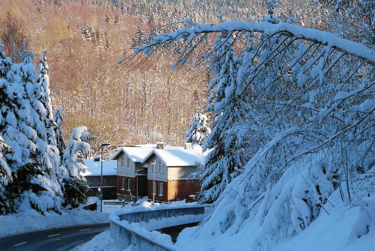 Ferienhaus Holzhau