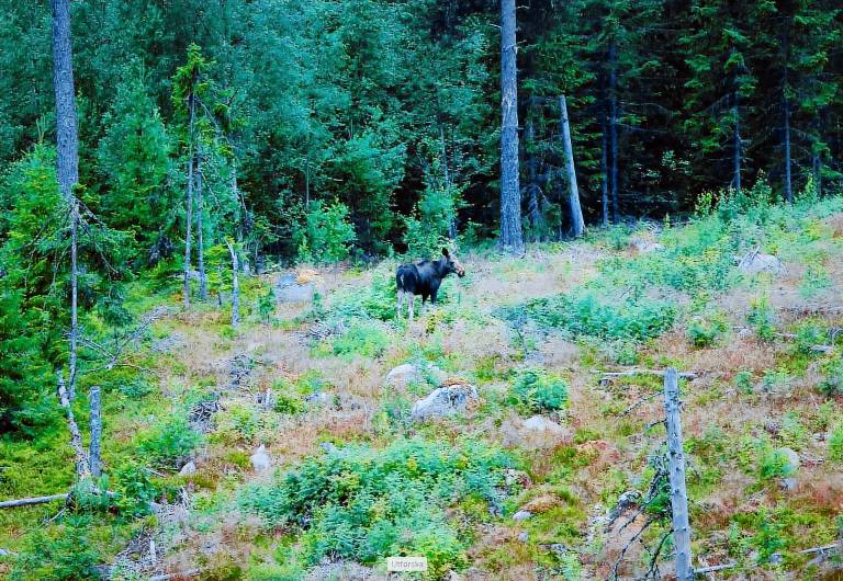 Luxury Off-Grid House — photo 4