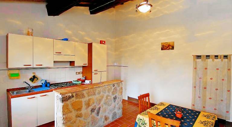 Rental apartment with barbeque & yard in Castiglione d'Orcia