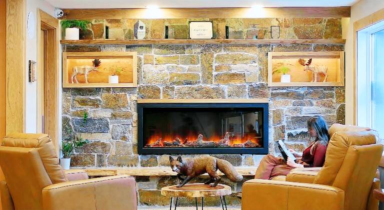 Fernie Fox Hotel — photo 4
