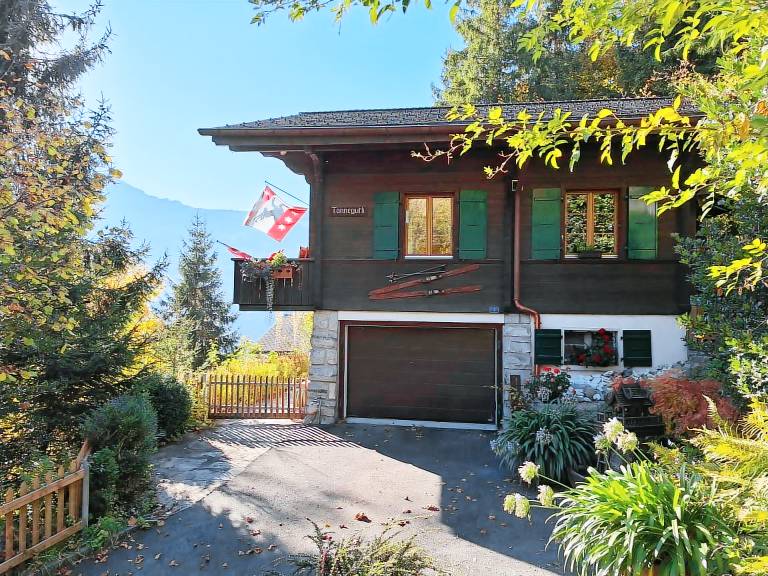 Ferienhaus  Meiringen