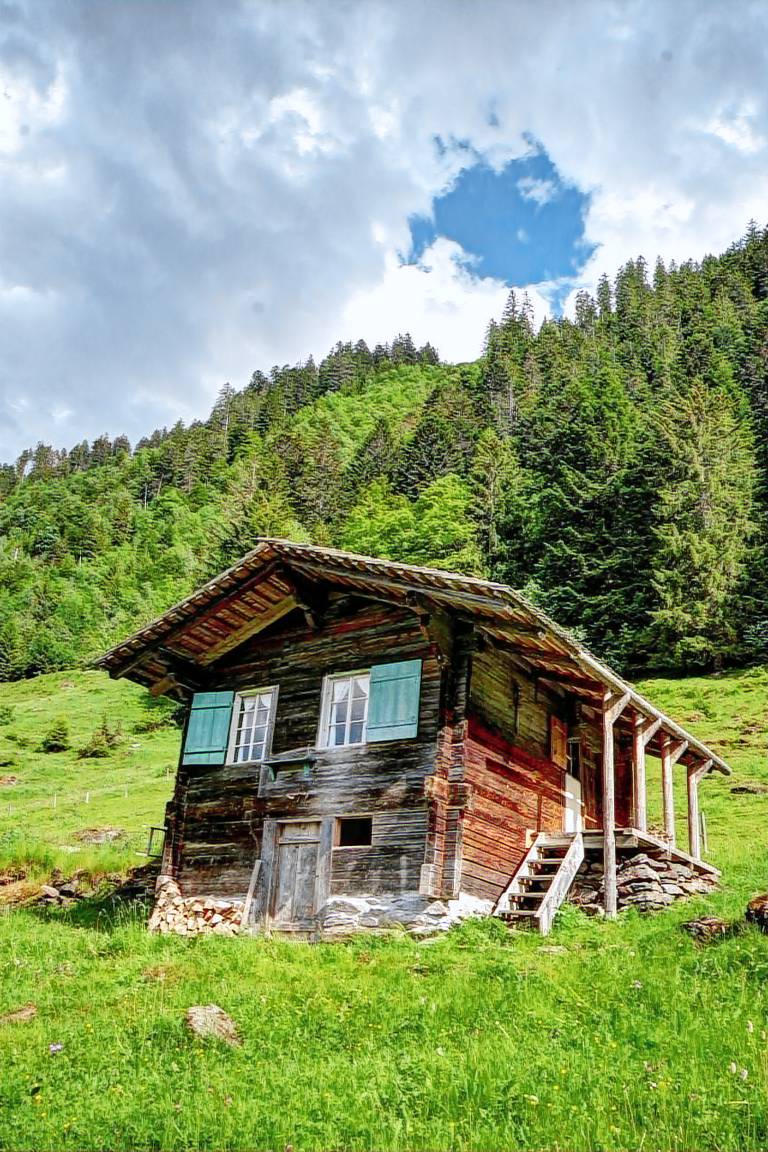 Ferienhaus Wilderswil