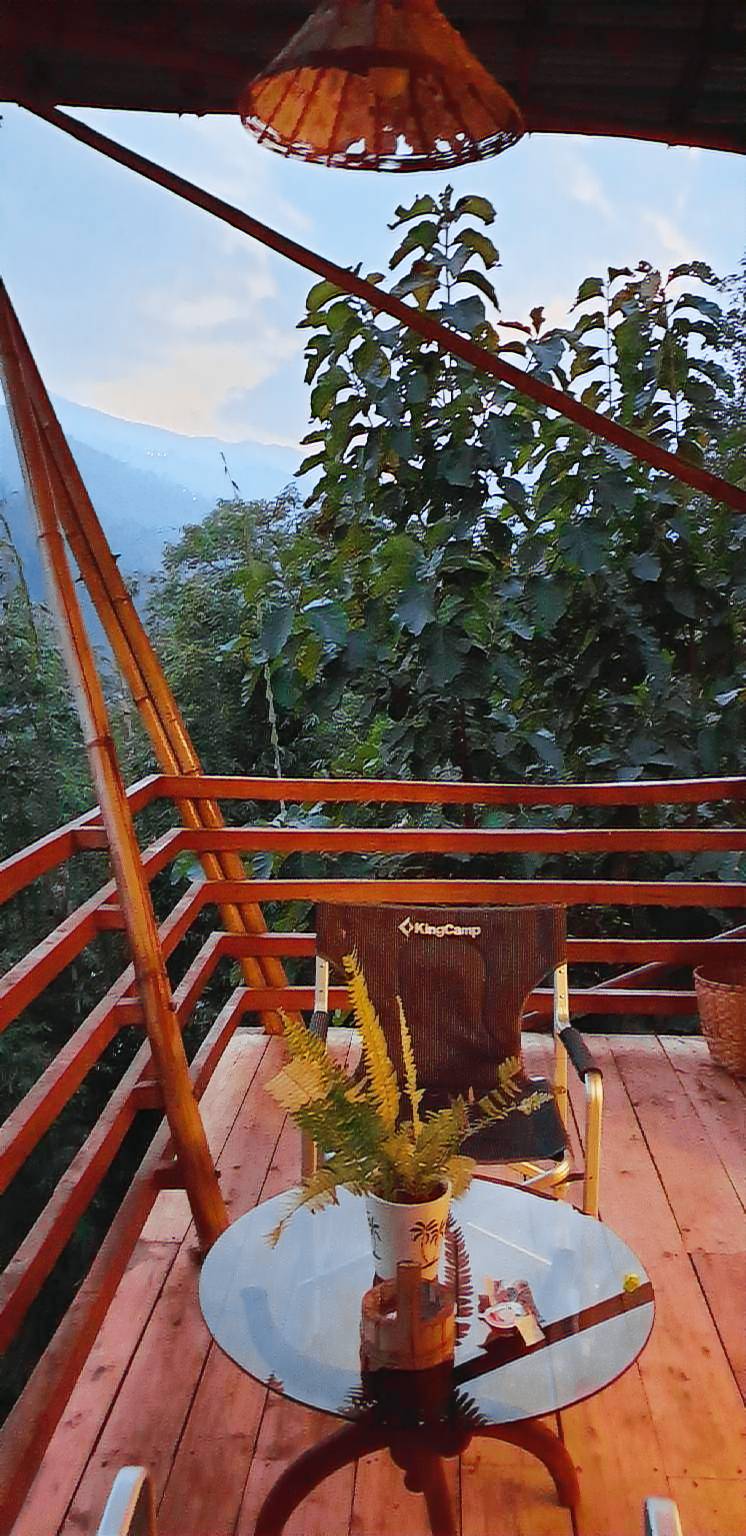 House with BBQ — photo 3