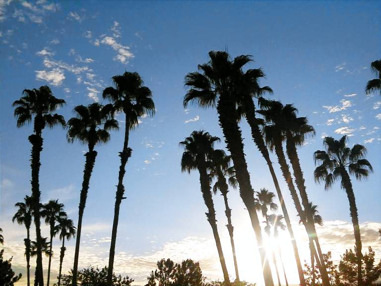 Condo  Palm Desert