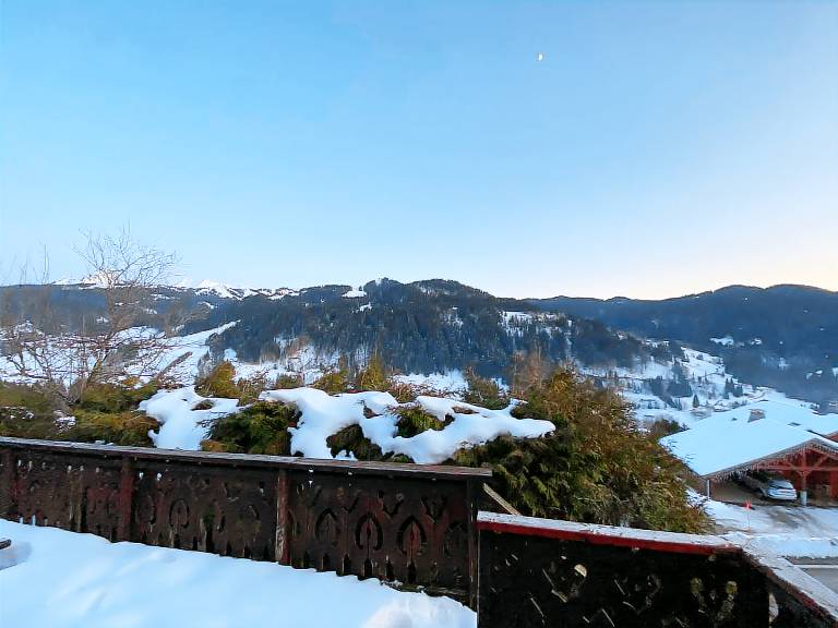 Chalet  Les Gets
