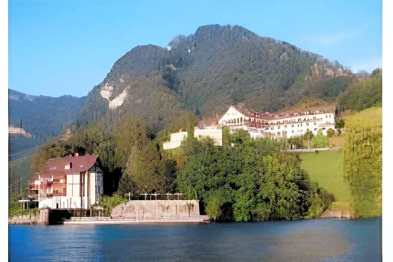 See- und Seminarhotel FloraAlpina Vitznau in Vitznau