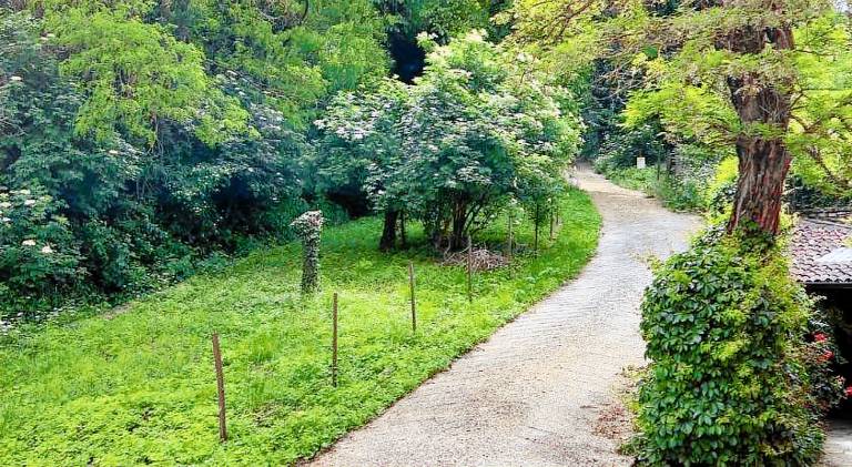 Il Mirto Crespo — photo 4