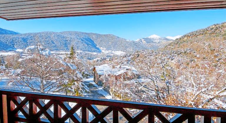 Beautiful holiday apartment with garden, patio & barbecue | Dogs allowed in Arinsal