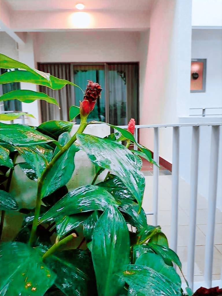 Apartment Kota Kinabalu