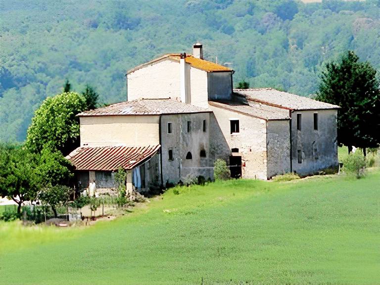 Farm with pool, patio & barbecue in Colle di Val d'Elsa