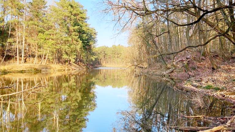 Ferienhaus  Wörlitz