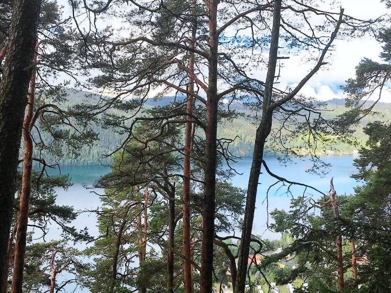 Ferienwohnung  Millstatt