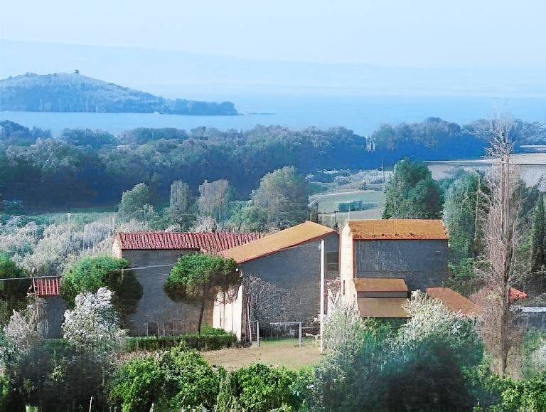 100 m&sup2; Bauernhof