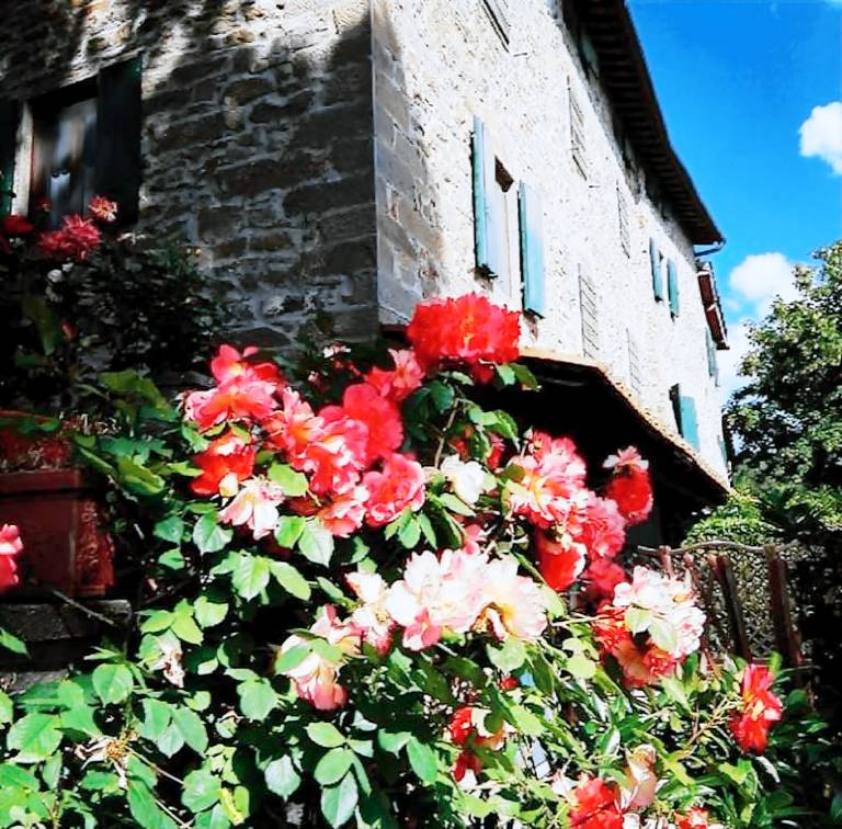 Family-friendly holiday apartment with grill & garden | Good for workation | Pet-friendly — photo 2