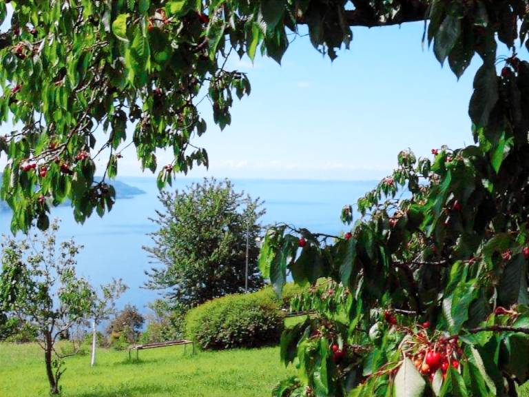 TIGNALE - APARTMENT VISTA BLU 107 WITH POOL AT LAKE GARDA — photo 3