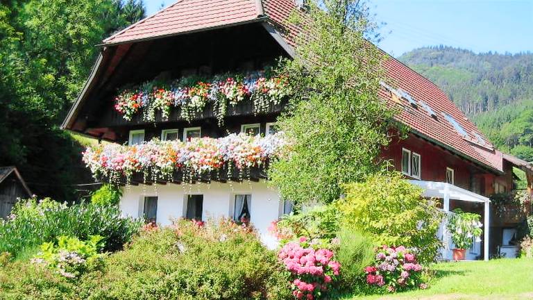Ferienwohnung Gutach (Schwarzwaldbahn)