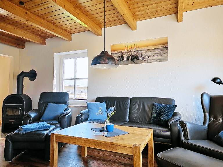 Fully equipped pleasant holiday apartment with patio, barbecue & sauna | Pets are welcome in Fehmarn