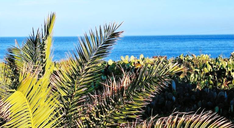 Apartment with patio & barbecue in Pantelleria