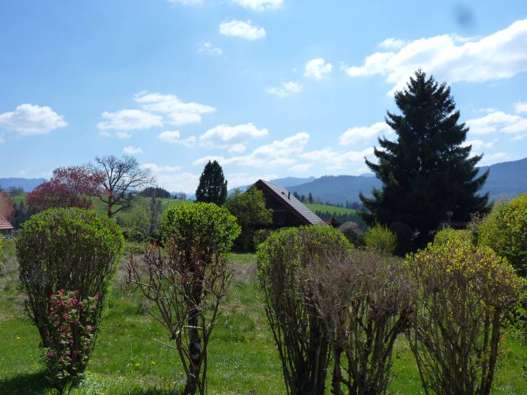 foto2
