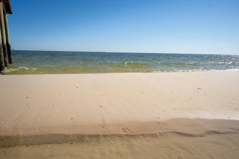 Sandy Bottoms - 104 Vargas Ct — photo 5