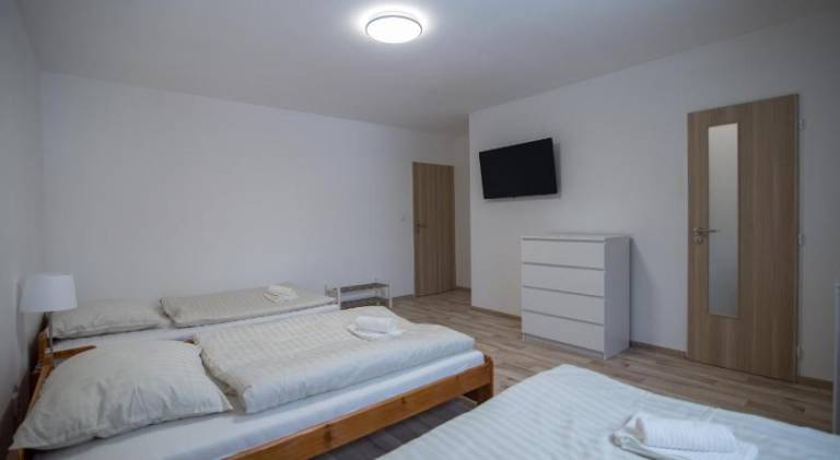 Pleasant holiday apartment | Dogs allowed — photo 3