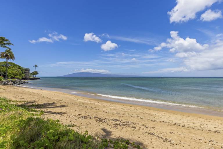 Condo Kahana