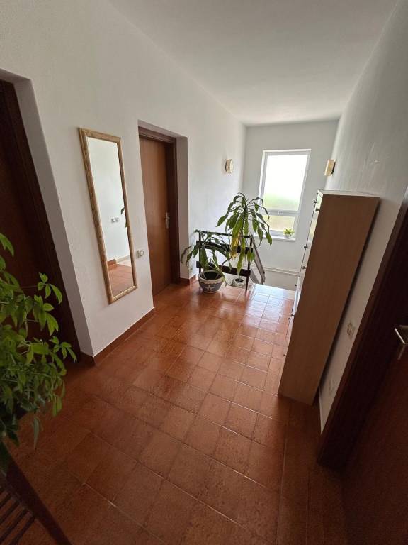 foto19