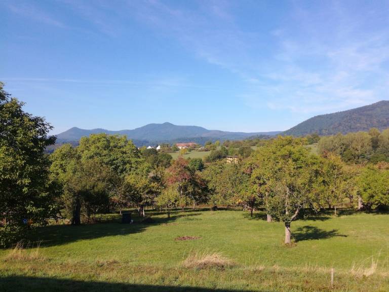 Maison de vacances Oberhaslach