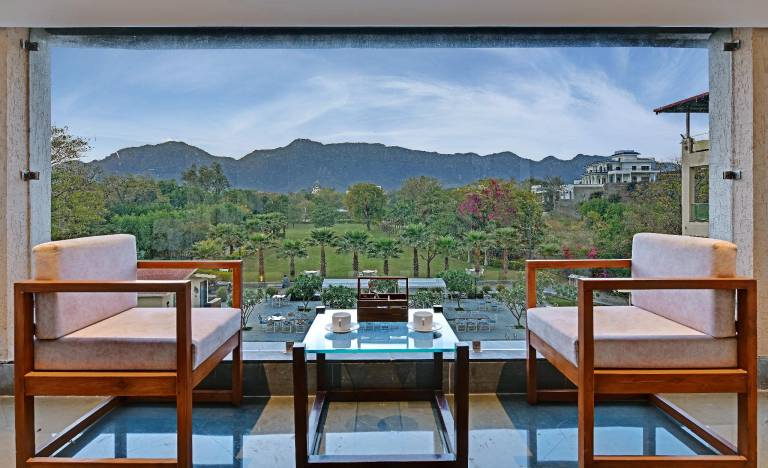 Villa Le Palm - Luxury Resort (3 KM from Fatehsagar Lake) — photo 4