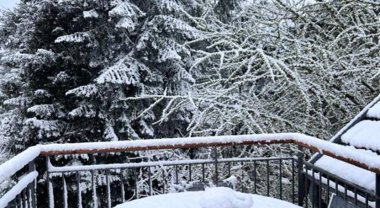 Gites Graines du Jura — photo 5