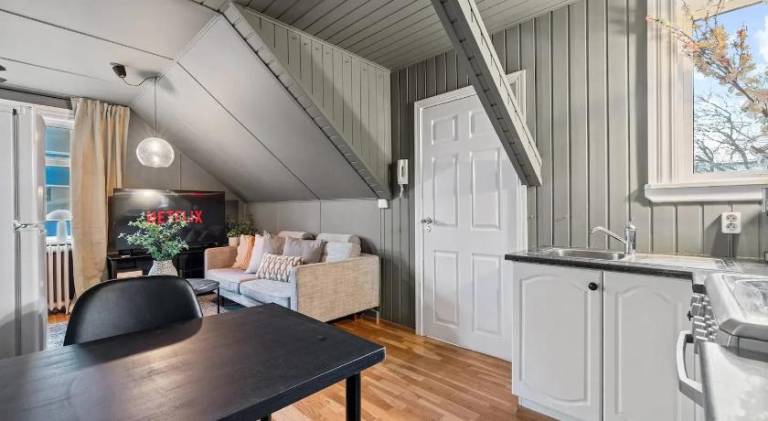 Lovely house | Near Hallgrímskirkja | Pets allowed — photo 2