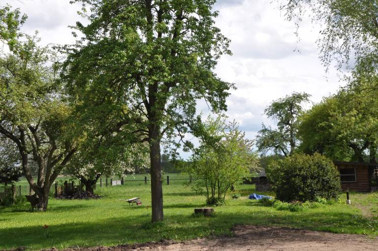 Ferienwohnung  Brodowin