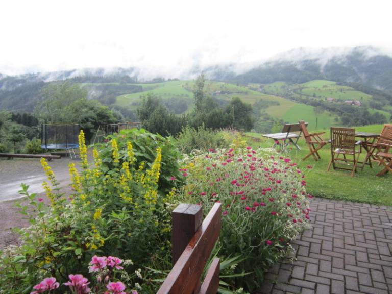 foto35