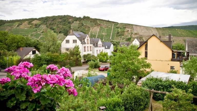 Ferienwohnung  Neumagen-Dhron