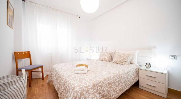 Nice rental apartment | Perfect for remote work | Pets are welcome in Gijon